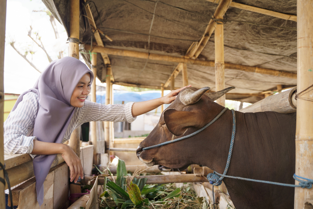 Kurban: Sejarah, Dalil dan Hikmahnya
