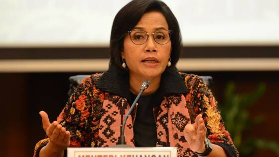 Perjalanan Sri Mulyani dalam Menjaga Stabilitas Keuangan Negara