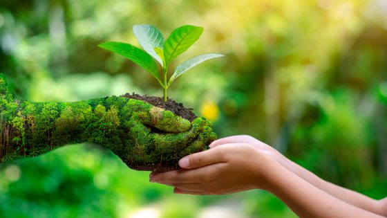 Sedekah Energi: Mengenal Filantropi Islam untuk Transisi Energi Bersih