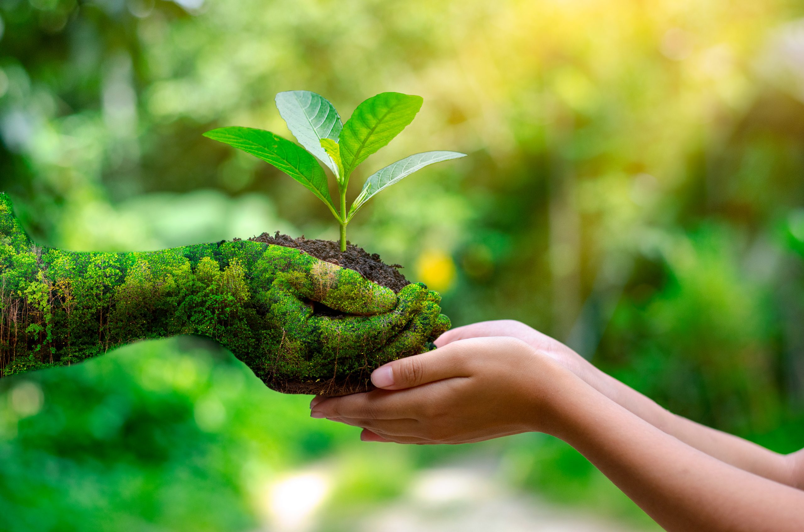 Green Islam Sebagai Gerakan Melawan Krisis Iklim